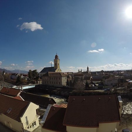 Tower View Apartment Baia Mare Dış mekan fotoğraf